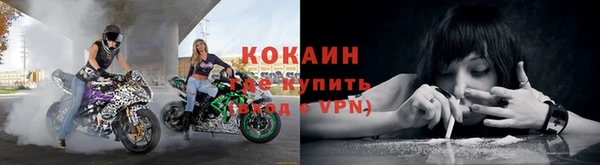 прущие крисы Абаза