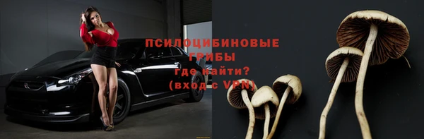 прущие крисы Абаза