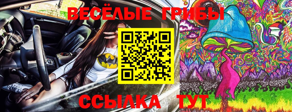 Псилоцибиновые грибы MAGIC MUSHROOMS Грозный