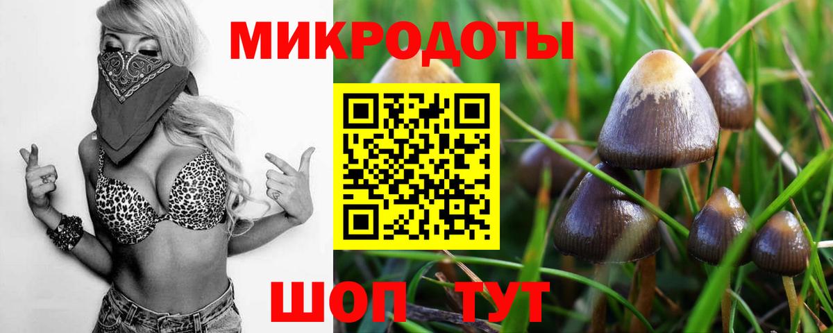 Грозный  Псилоцибиновые грибы мухоморы  Вход с VPN 